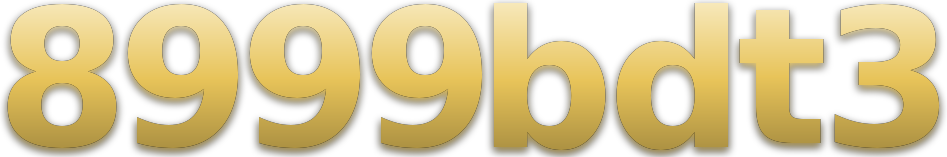 8999bdt3 logo